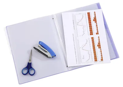 Image de Viquel - Classeur "Propysoft" avec 12 compartiments, format A4, personnalisable, avec élastique de maintien