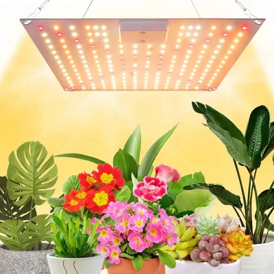 Image de 192 LEDs lampe végétale spectre complet lumière végétale plantes d'intérieur lampe de croissance lampe de culture