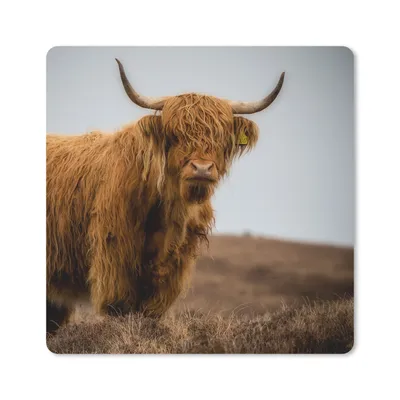 Produktbild von MuchoWow® Mauspad Mousepad Schottischer Highlander - Düne - Gras 20x20 cm - Mousepads - Maus Mat - Pad - Mausunterlage - Desk Mat - Bureauartikeln