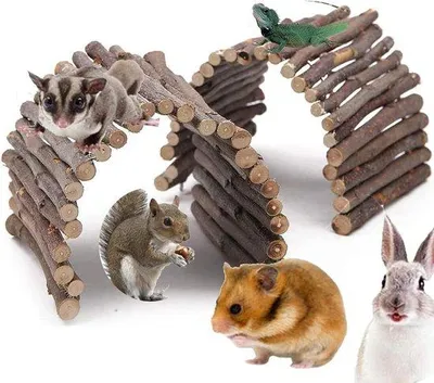 Image de 2 échelles en bois, pont à ronger pour petits animaux, en bois