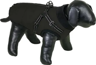 Produktbild von Nobby Hundemantel Bomja 2 in 1 schwarz, Größe: 55 cm