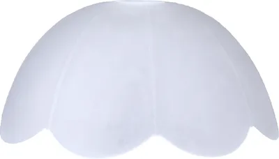 Image de Verre de lampe satiné Ø 250mm Verre de rechange Verre de lampeReproduction Abat-jour en verre