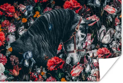 Produktbild von MuchoWow® Poster Pferd - Blumen - Schwarz 90x60 cm - Schlafzimmer