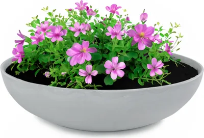 Immagine prodotto di Fioriera rotonda bulbosa da 37 cm per esterni, grigio chiaro marmorizzato