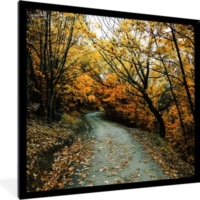 Produktbild von MuchoWow® Gerahmtes Poster Blätter - Herbst - Wald 40x40 cm - Poster mit Schwarzem Bilderrahmen Wandposter Rahmen Foto Bilder - Mit Rahmen - Wanddekoration Schlafzimmer