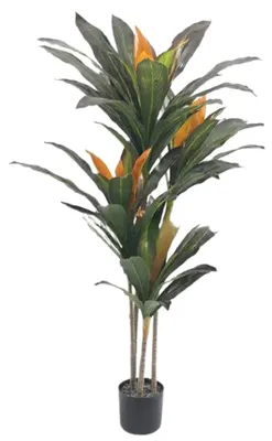 Produktbild von Kš¹nstlicher Drachenbaum Dracaena 105cm