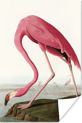 Produktbild von MuchoWow® Poster Flamingo - Vogel - Vintage - Wasser - Rosa 120x180 cm - Kunstposter