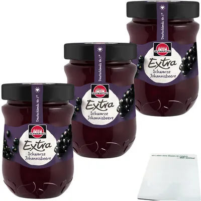 Produktbild von Schwartau Extra Schwarze Johannisbeere Konfitüre 3er Pack (3x340g Glas) + usy Block