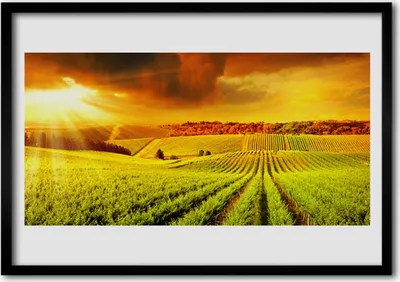 Produktbild von Bild 100x70 MDF-Rahmen Wandkunst Feld-Sonnenuntergang-Landschaft