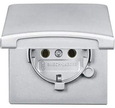 Produktbild von Busch-Jaeger SCHUKO® Steckdosen-Einsatz mit Klappdeckel alusilber - Allwetter 44® (IP44), 1 Stk.