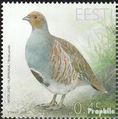 Produktbild von Briefmarken Estland 2013 Mi 757 (kompl.Ausg.) postfrisch Vogel