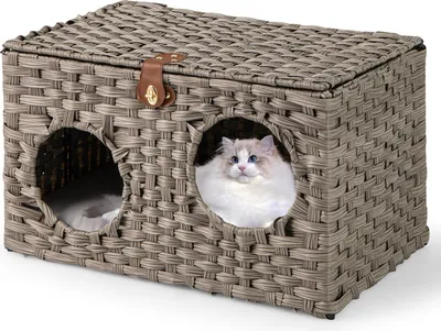 Produktbild von GOPLUS Katzenhaus Rattan, klappbares Katzenbett mit Weichem Kissen, 2 Runde Eingänge, Deckel mit Schnalle, Katzenbetten für Indoor, 60 x 35 x 35 cm