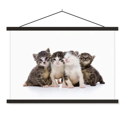 Produktbild von MuchoWow® Textilposter Katze - Haustiere - Fell - Porträt 150x100 cm mit schwarzem Rahmen - Schlafzimmer