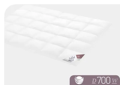 Produktbild von Schlafstil Bettdecke Daunendecke D 700 Warm 200 x 200 cm