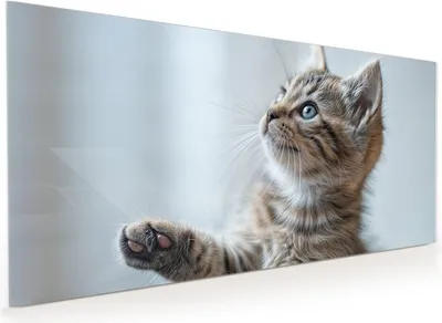 Produktbild von Küchenrückwand Spritzschutz Glas mit Motiv Kätzchen22 40 x 40 cm