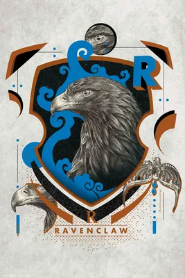 Image de Harry Potter - Affiche - Ravenclaw Illustrative