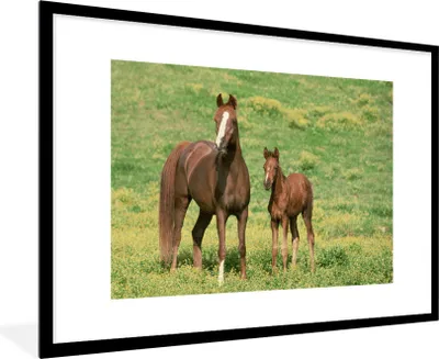 Produktbild von MuchoWow® Gerahmtes Poster Pferde - Gras - Braun 90x60 cm - Poster mit Schwarzem Bilderrahmen Wandposter Rahmen Foto Bilder - Wanddekoration - Fotos