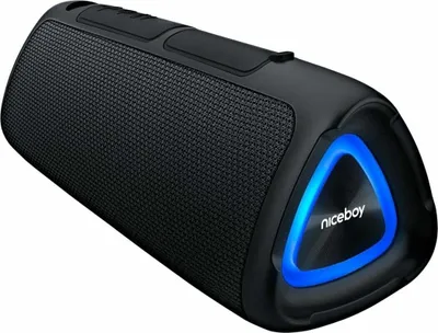 Image de Niceboy RAZE Fusion Enceinte portable Noir