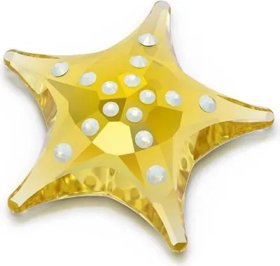 Image de Swarovski SCS Idyllia Seestern Membership Gift 2025 5689310