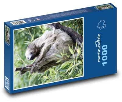 Zdjęcie produktu dla Puzzle 1000 Leniwiec w Dżungli - martinpuzzle