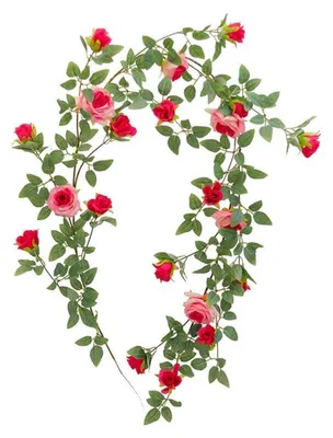 Immagine prodotto di Ghirlanda di rose artificiali, lunghezza 1,8 metri. Decorazione con fiori di seta a forma di rosa