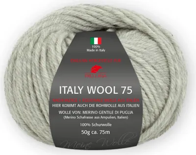 Produktbild von Pro Lana Italy Wool 75 50g hellgrau 291