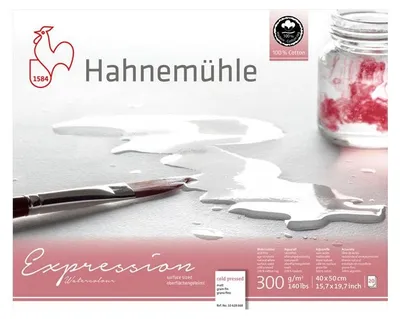 Zdjęcie produktu dla Papier do akwareli Hahnemühle Expression - 24x30 cm