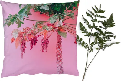 Produktbild von MuchoWow® Zierkissen Sofakissen Wohnzimmer Dekokissen 40x40 cm Palme - Tropisch - Rosa - Sommer - Foto Kissen - Schlafzimmer Dekoration