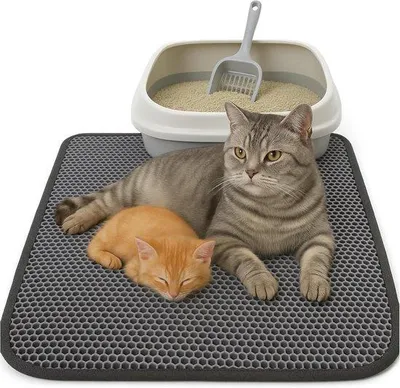 Produktbild von Famanu Katzenstreumatte 60 x 90 cm - Honigwaben-Design - Wasserfest und doppellagig - Antirutsch Katzenmatte für Katzenstreu - Grau