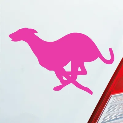 Produktbild von Auto Aufkleber Windhund Hund Dog Animal Tier 12x7,5 cm Pink Sticker Heckscheibenaufkleber