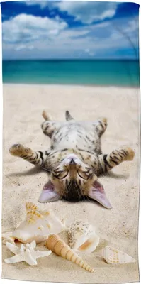 Produktbild von Beach towel Good Morning 75x150 cm - cat on the beach
