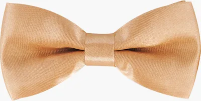 Produktbild von axy Kinderfliege, Kinder Jungen Fliege 10 x 5 cm,  bereits gebunden, verstellbar, glänzend, Seidenlook Hochzeit-Festliche Mode