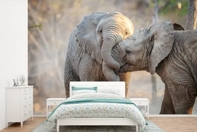 Produktbild von Afrika-Design Fotobehang Olifanten - Knuffel - Breit 450 cm x Höhe 300 cm
