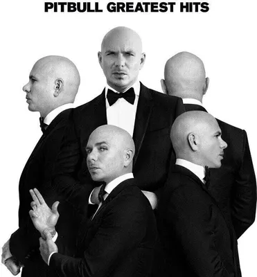 Zdjęcie produktu dla Pitbull - Greatest Hits (Coloured) (Reissue) (LP)