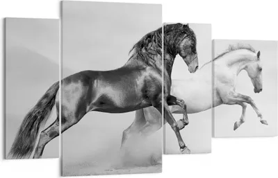 Produktbild von Bild auf Leinwand - Leinwandbild - Pferde Tiere Galopp Wiese - 120x70cm - Wand Bild - Wanddeko - Leinwanddruck - Bilder - Kunstdruck - Wanddekoration - Leinwand bilder - Wandkunst - DL120x70-2683