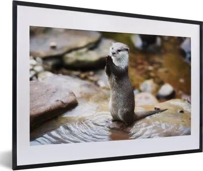 Produktbild von MuchoWow® Gerahmtes Poster Otter steht aufrecht 60x40 cm - Poster mit Schwarzem Bilderrahmen Wandposter Rahmen Foto Bilder - Schlafzimmer - Plakat in Rahmen - Drucken