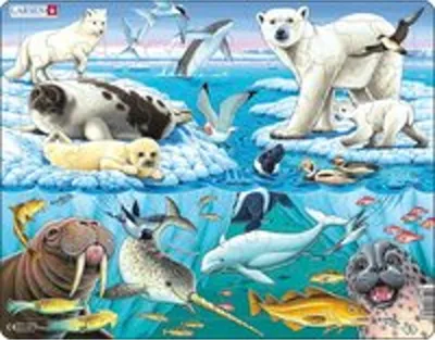 Produktbild von Larsen Maxi LA-FH11, 75 Stück(e), Fauna, 6 Jahr(e)