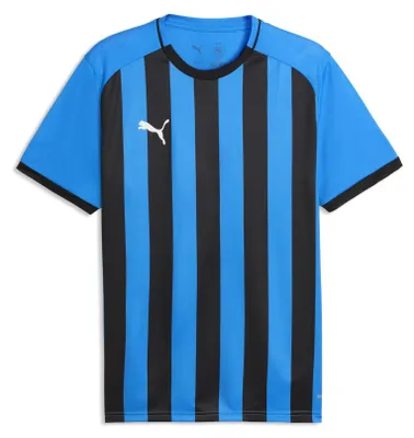 Obrázek produktu pro Puma teamLIGA26 pruhované tričko, velikost: L
