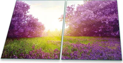 Produktbild von Herdabdeckplatten Spritzschutz Glas Universal 2-Teilig 2x40x52 Natur Violett