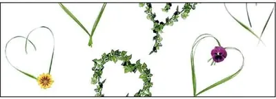 Produktbild von Transparentpapier 115g/qm A4 VE=25 Blatt Heartbeat Romantic
