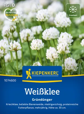 Artikelbild 2 von 'Weißklee Kriechklee (60 g)' aus der Kategorie Gründünger & -düngung
