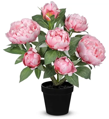 Image de Pivoines artificielles en pot pour la décoration intérieure