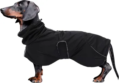 Image de Manteau d'hiver pour chien - Taille M - Polaire - Imperméable - Réfléchissant - Noir
