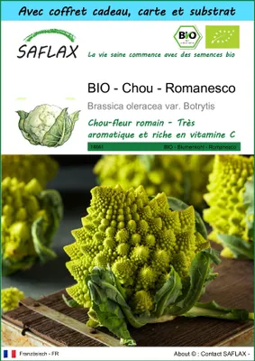 Image de SAFLAX Ensemble-cadeau -- Chou - Romanesco - 50 graines - Brassica
