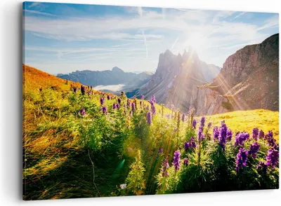Produktbild von Bild auf Leinwand - Leinwandbild - Berge Wiese Blumen - 120x80cm - Wand Bild - Wanddeko - Leinwanddruck - Bilder - Kunstdruck - Wanddekoration - Leinwand bilder - Wandkunst - AA120x80-4008