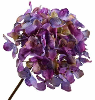Produktbild von Silk-ka Seidenblume Hortensie Hydrangea Lavendel (63cm)