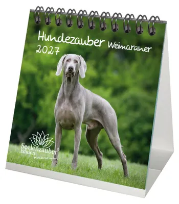 Produktbild von Hundezauber Weimaraner Tischkalender 10x10cm für 2027 Welpen und Hunde - Seelenzauber