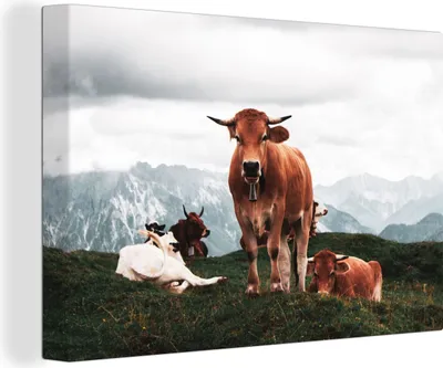 Produktbild von OneMillionCanvasses® - Leinwandbilder - 140x90 cm, Tiere - Kuh - Berg, Wandbilder Kunstdruck Wanddekoration - Foto auf Leinwand - Gemälde auf Holzrahmen