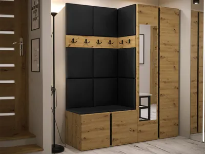 Obrázok produktu pre Stena do predsiene s čalúnenými panelmi 42x42 SELAND 10 - dub artisan / čierna