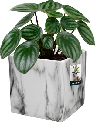 Productafbeelding van KOTARBAU® Bloempot keramiek, 12 x 12 cm, vierkant, marmerlook, mat. Overpot keramiek, overpotten voor kamerplanten. Moderne bloempot met marmerlook, kleine overpotten. Plantpot keramiek, orchideeënpot keramiek